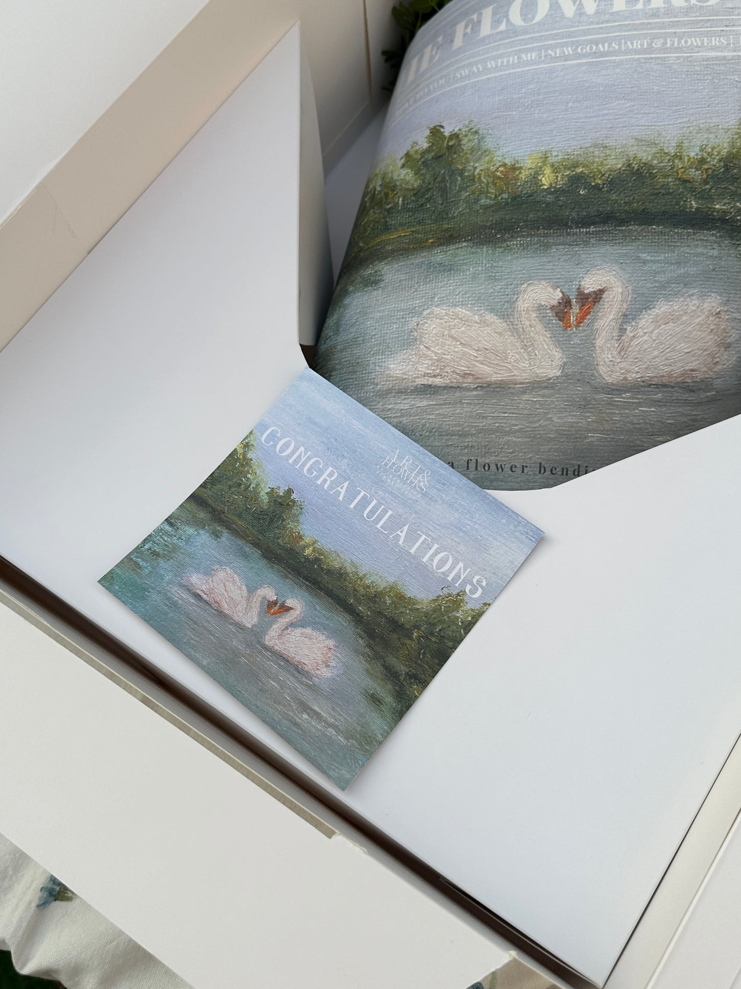 🦢 Sway Collection FULL SET 🦢