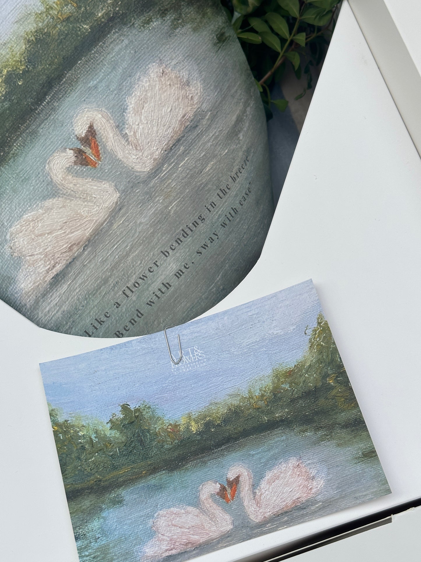 🦢 Sway Collection FULL SET 🦢