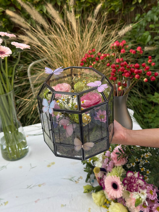 The Butterflies Garden 🦋✨