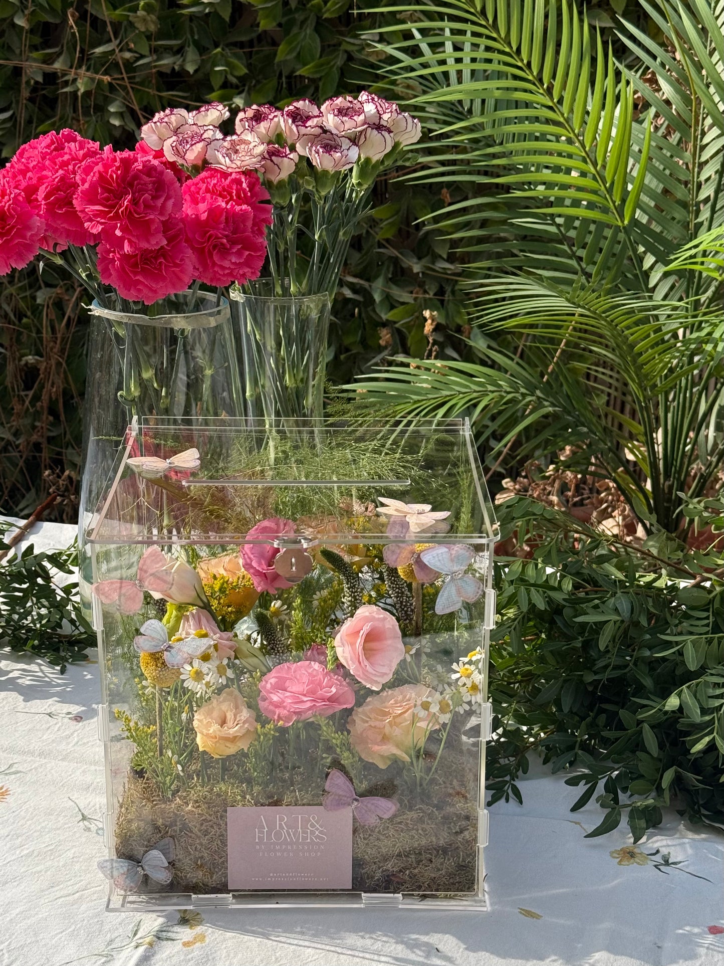 The Butterflies Garden 🦋
