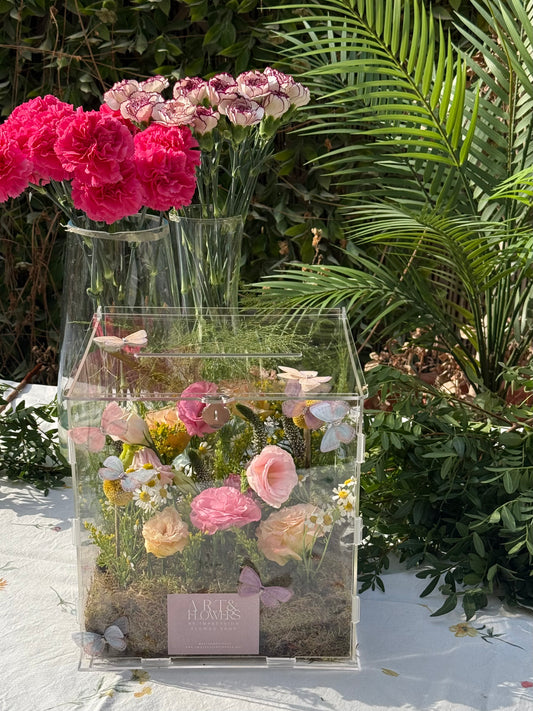 The Butterflies Garden 🦋