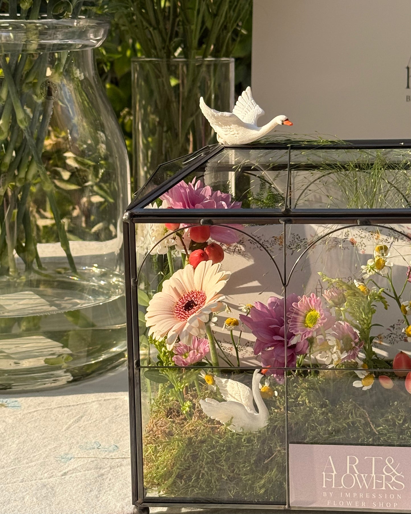 The Swan Garden 🦢